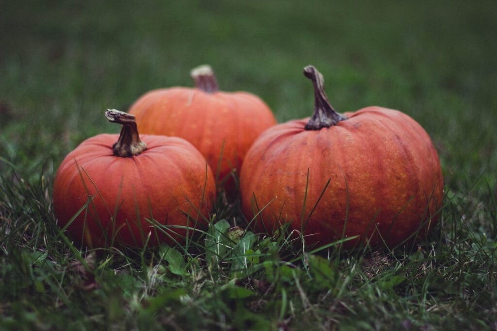 Three orange pumpkins sitting on green grass, perfect for autumn themes.