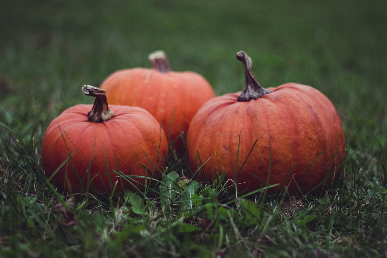 Three orange pumpkins sitting on green grass, perfect for autumn themes.