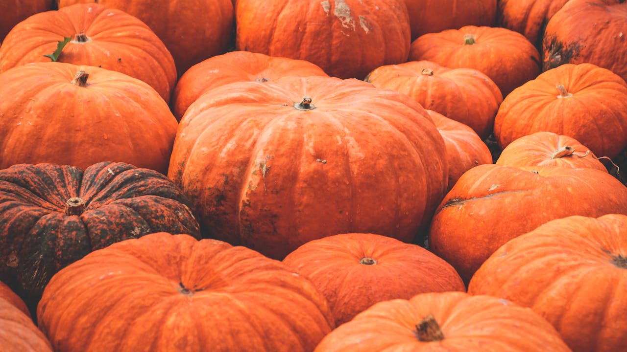 A close-up view of pumpkins showcasing the vibrant colors and textures of a fall harvest festival.
