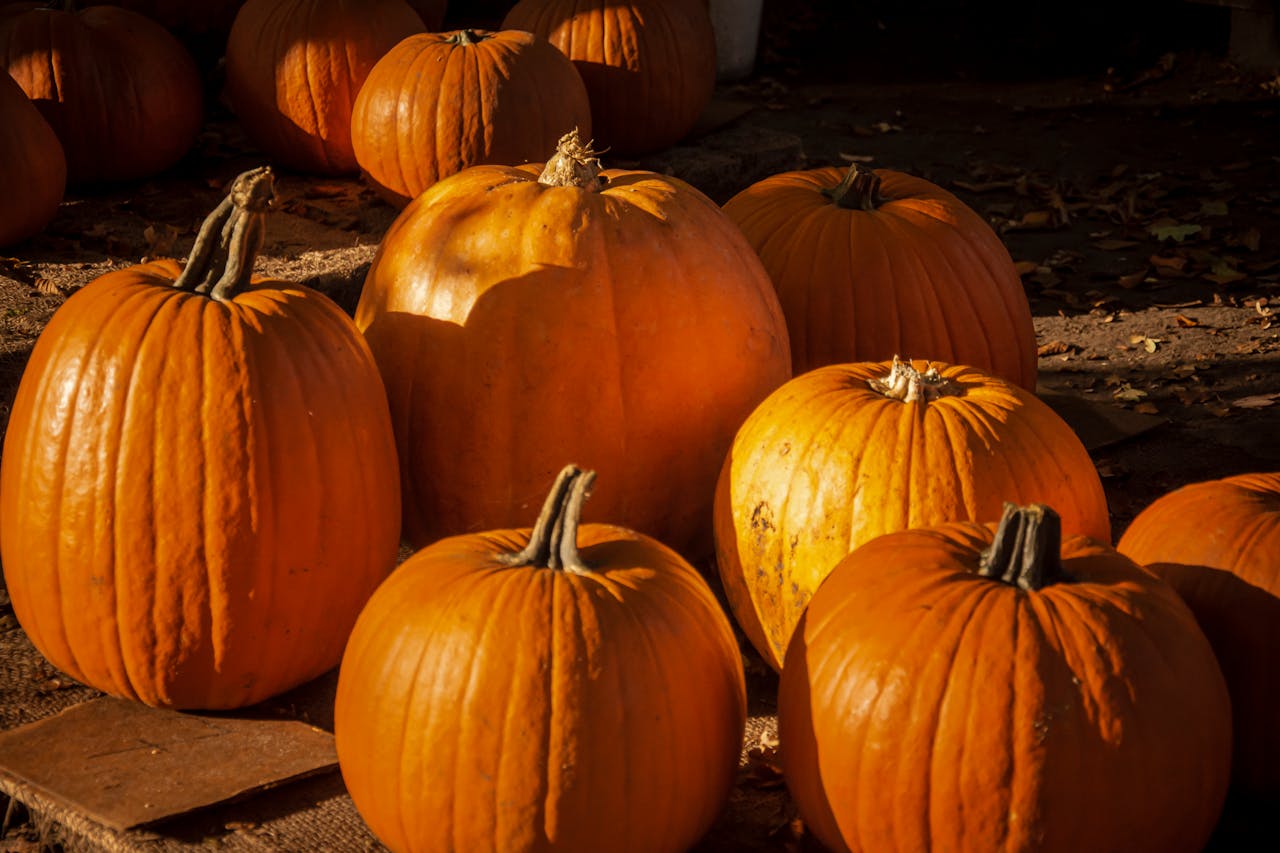 our-story-02 A collection of vibrant orange pumpkins arranged outdoors, perfect for fall themes.