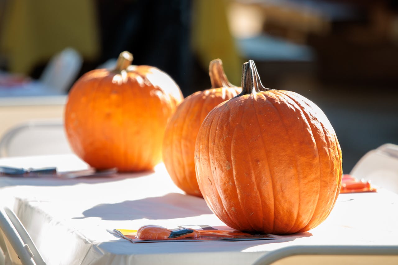 Three bright pumpkins on a sunlit table evoke a fall harvest atmosphere.